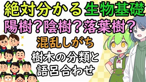 陽樹 陰樹 一覧 生物基礎|高校生物基礎「陽樹の植物を覚える 〜陰樹と陽樹のまとめ〜